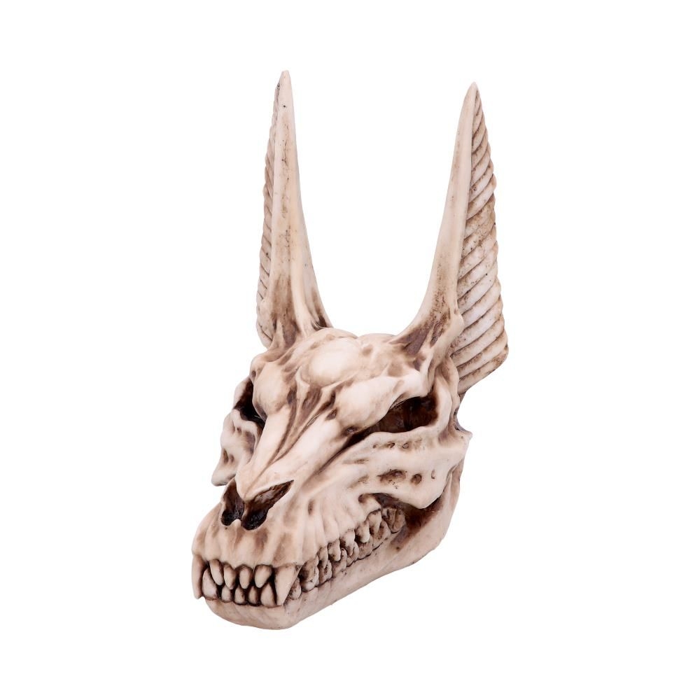 Nemesis Now - Anubis Skull Figurine - Crème